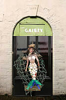 Artistic Licence - Old Gaiety Theatre Door - The colourful door knocker was on the door of another cottage in Irsha Street