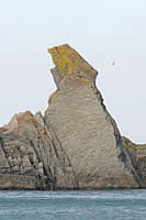 Sandstone Stack at Bear Rock