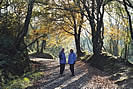 Picture Perfect - walkers enjoying the November sunlight